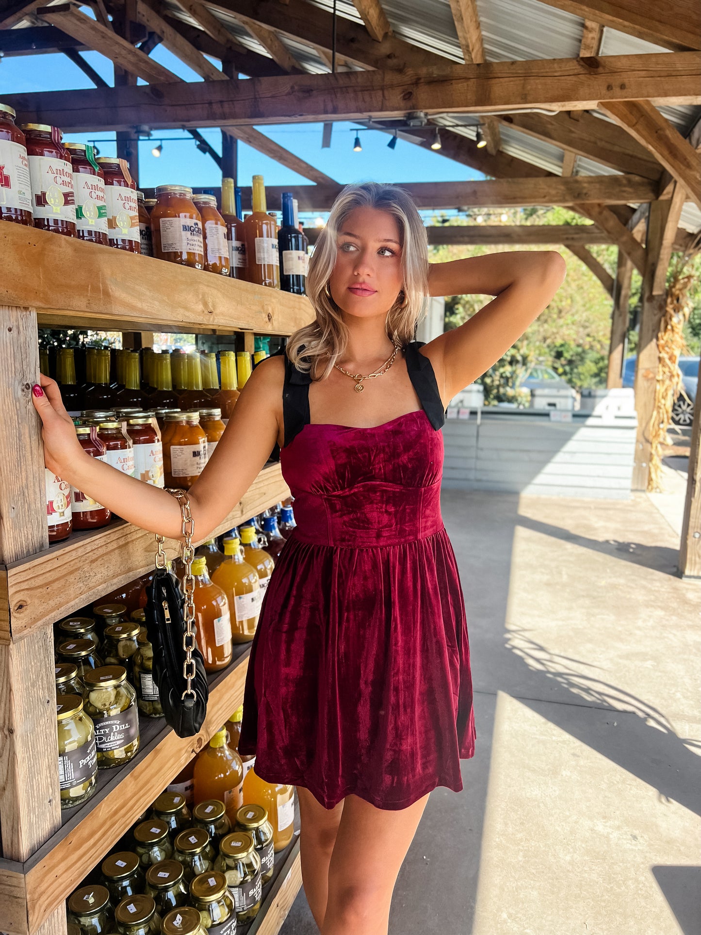 Vino Delight Velvet Dress