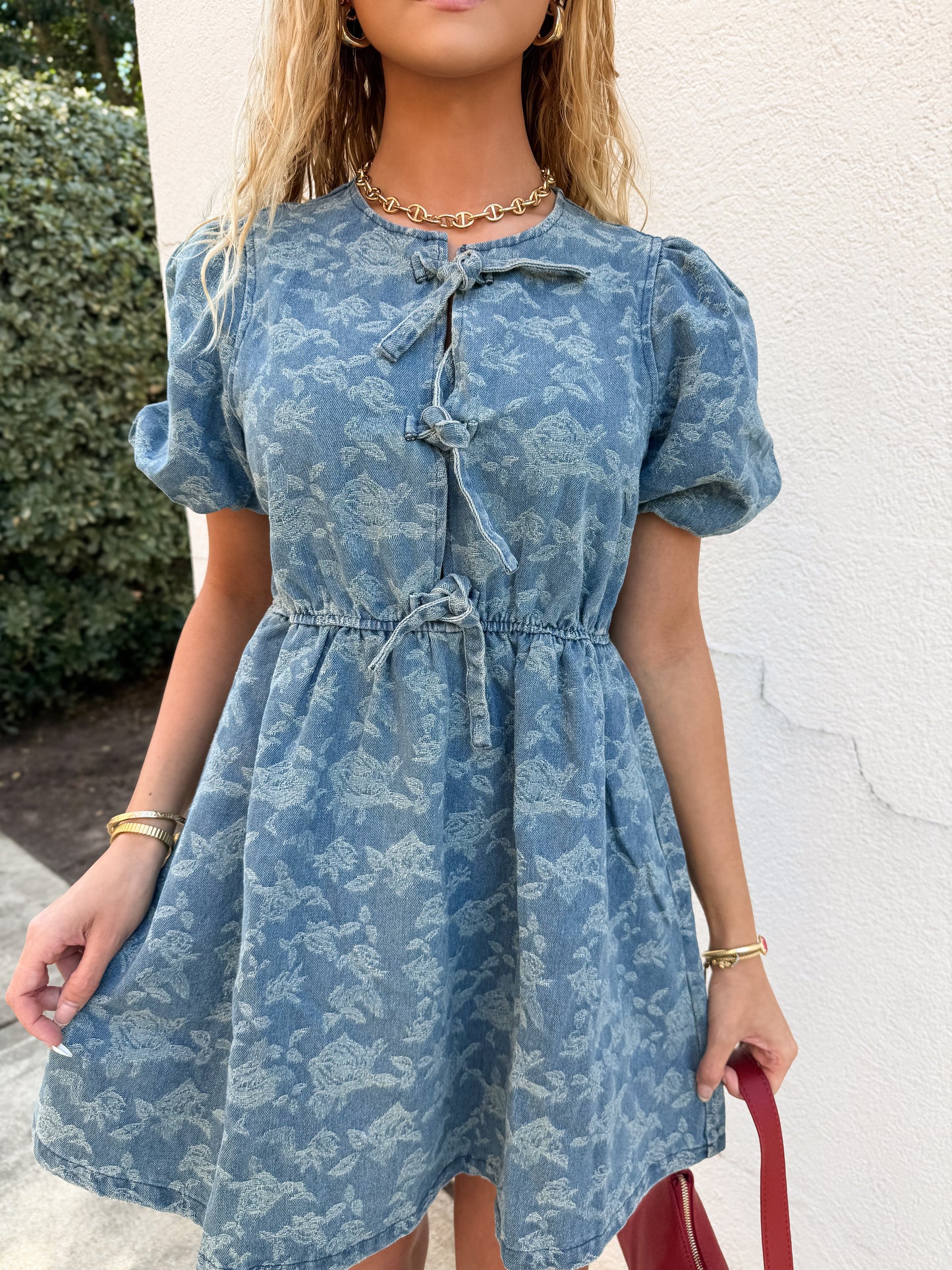 Bluebell Rose Denim Dress