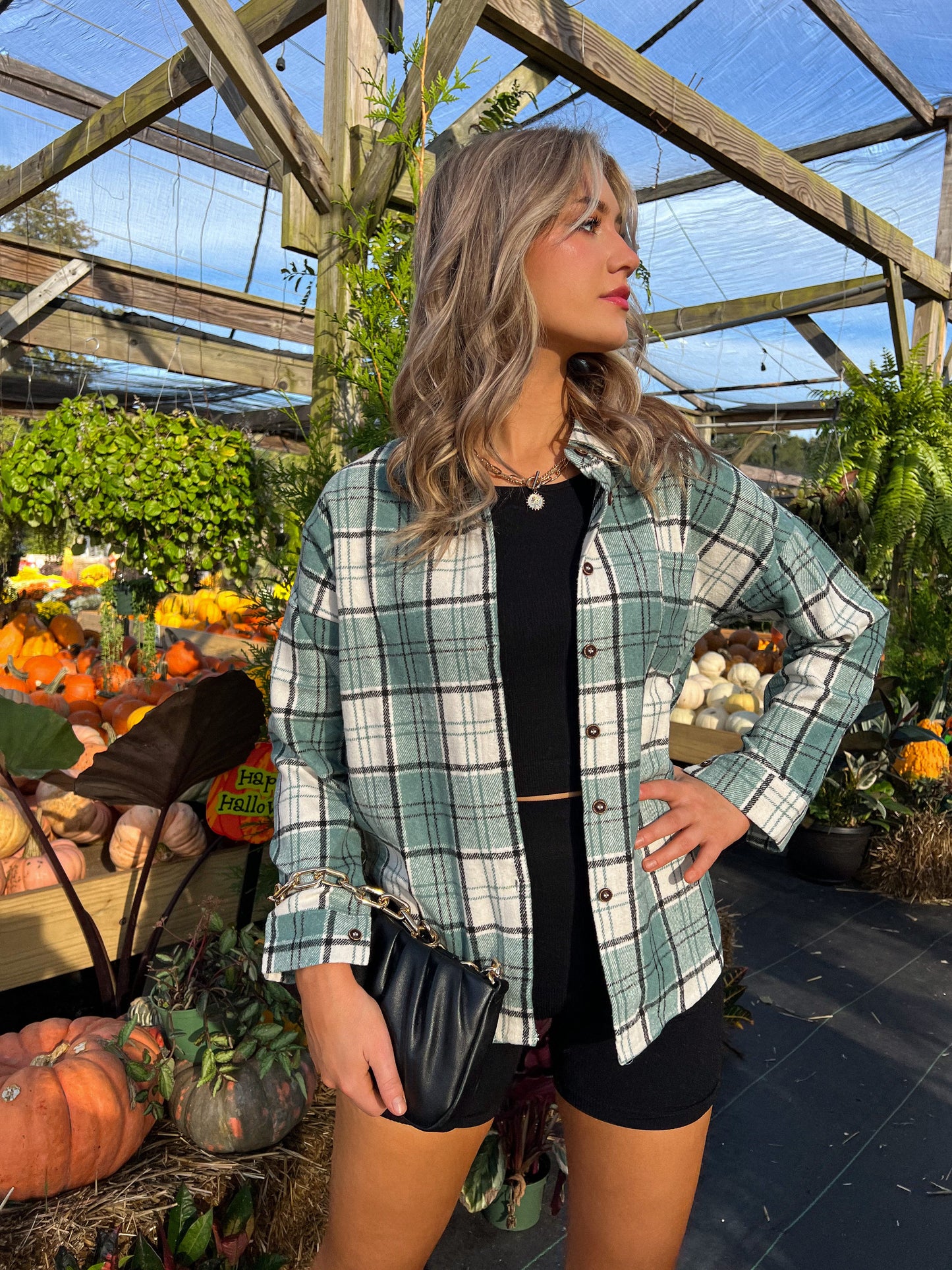 A Touch Of Plaid Flannel
